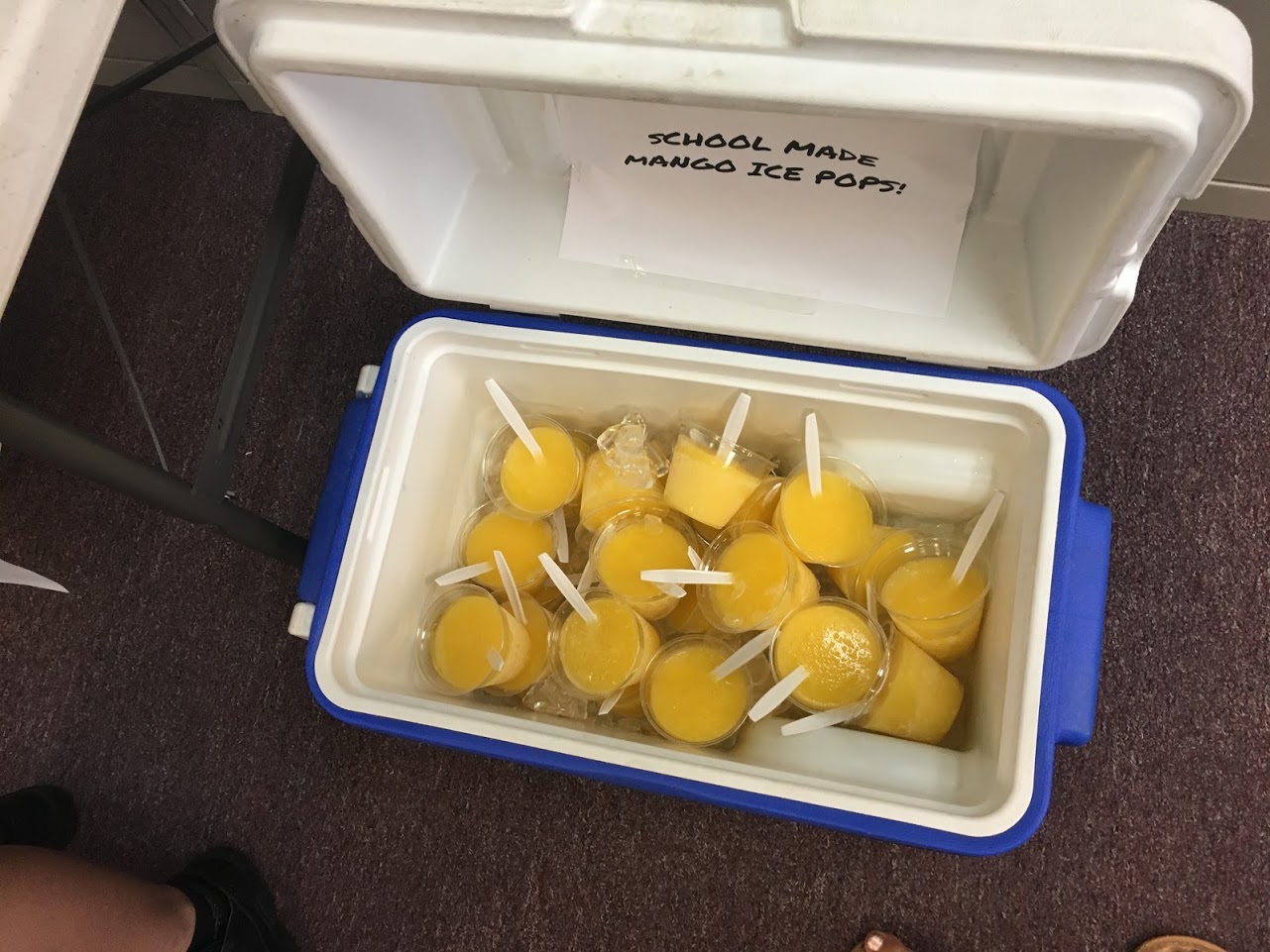 Mexican Mango Ice Pops: A 6th Grader’s Family Recipe