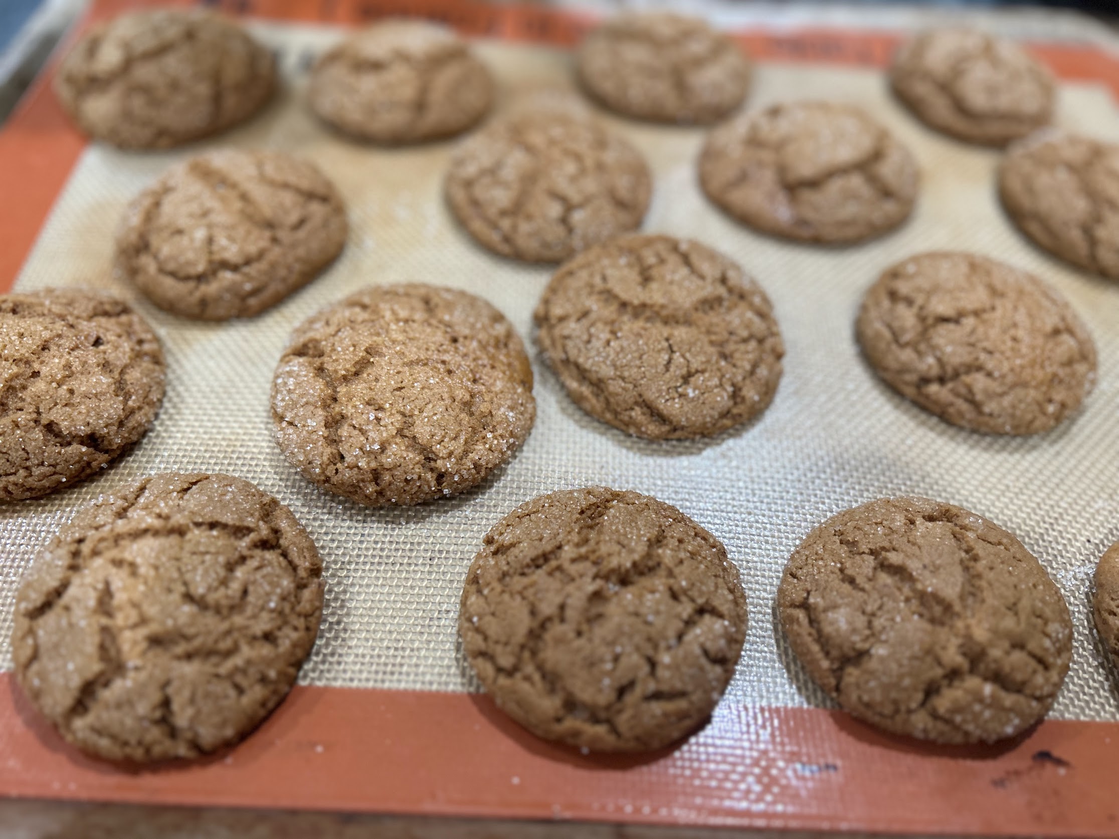 Vegan Molasses Cookies